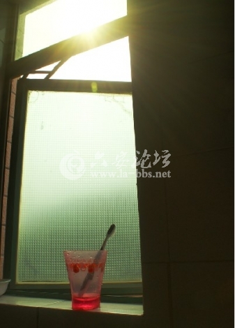 QQ截图20121116101936.jpg