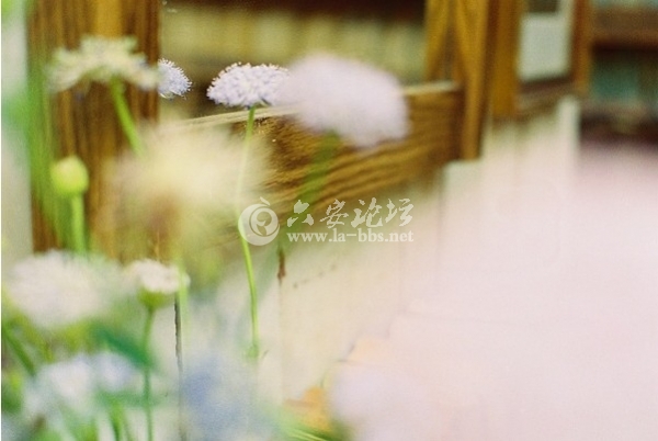 QQ截图20121116101936.jpg