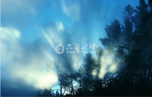 QQ截图20121116101936.jpg