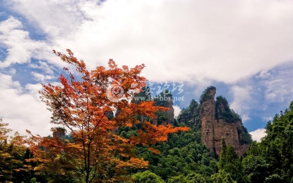 200927141359.jpg 200927141359.jpg