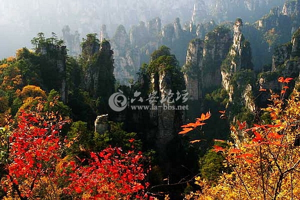 9aefa1b949cc3cf04cf437b9c87c7ac6.jpg 9aefa1b949cc3cf04cf437b9c87c7ac6.jpg