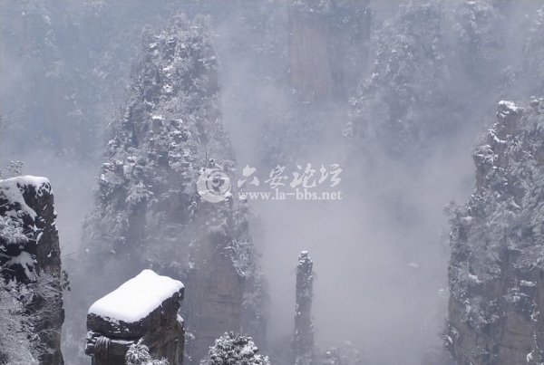tianzishan_031.jpg tianzishan_031.jpg