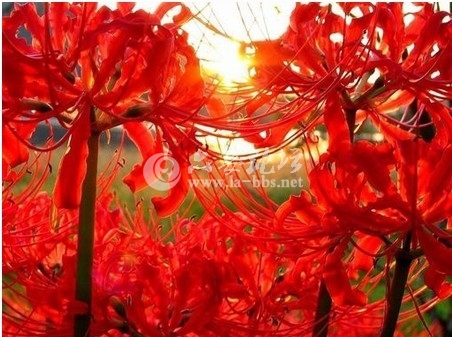 QQ截图20121204093343.jpg
