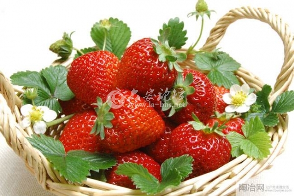 201103141421528932 (1).jpg