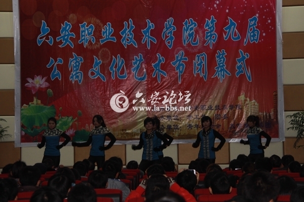 2012123185441755.jpg