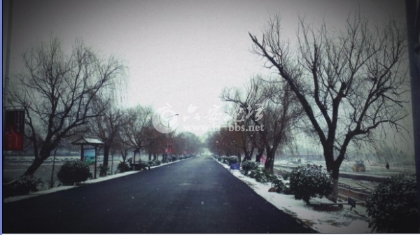 飘雪中的环湖大道.jpg