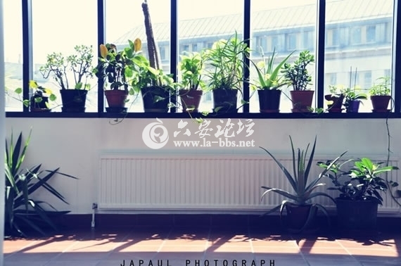 1345682430901.jpg 1345682430901.jpg