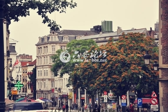 1345682434269.jpg 1345682434269.jpg