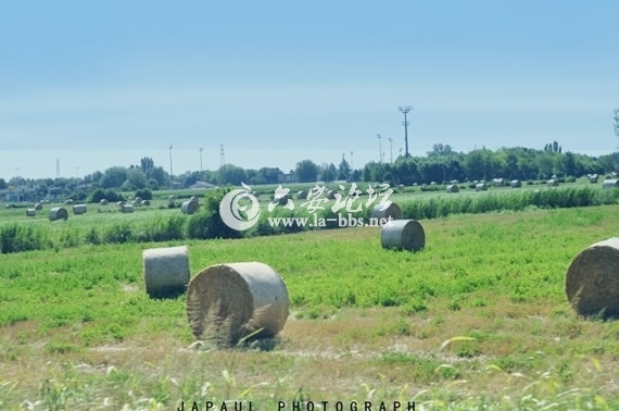 1345682433994.jpg 1345682433994.jpg