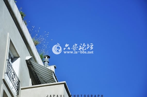 1345682428579.jpg 1345682428579.jpg