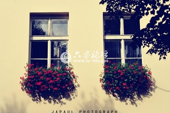 1345682437516.jpg 1345682437516.jpg