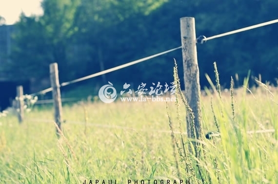 1345682434416.jpg 1345682434416.jpg