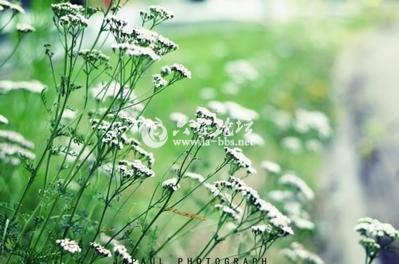 1345682433547.jpg 1345682433547.jpg