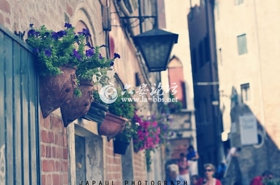 1345682431650.jpg 1345682431650.jpg