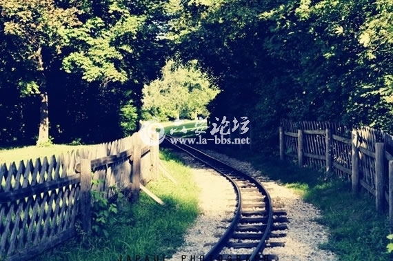 1345682431891.jpg 1345682431891.jpg