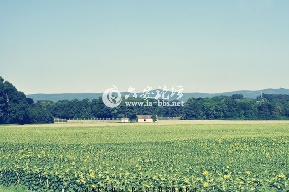 1345682440280.jpg 1345682440280.jpg