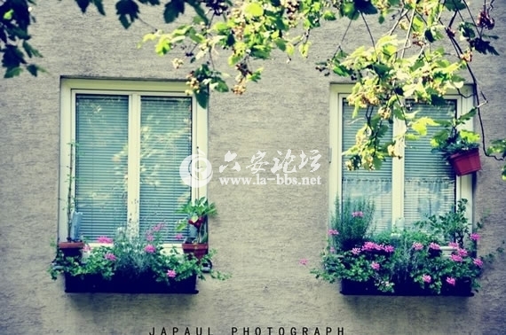 1345682440903.jpg 1345682440903.jpg