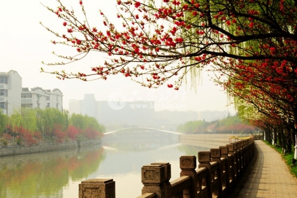 美麗的揚州風光