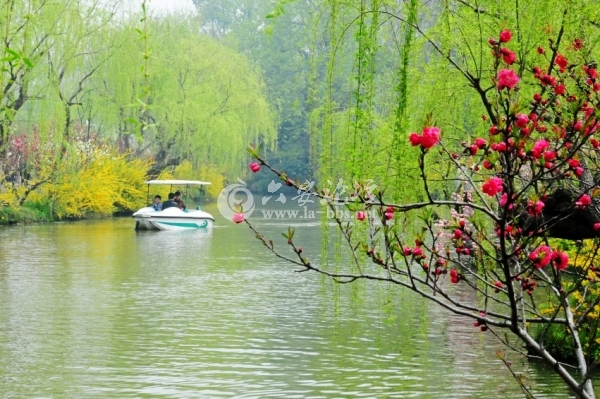 烟花三月下揚州哓帆