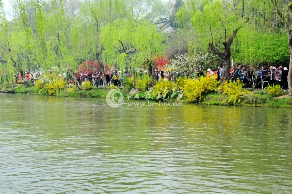 烟花三月下揚州哓帆