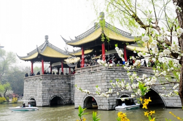 烟花三月下揚州哓帆