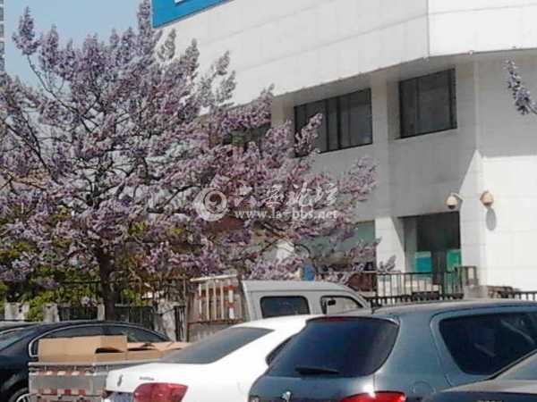 IMG_20130412_132950.jpg