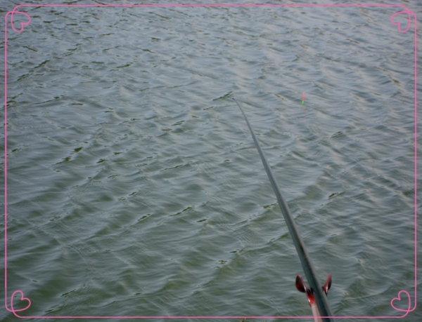 13.4.13鱼获 11.jpg