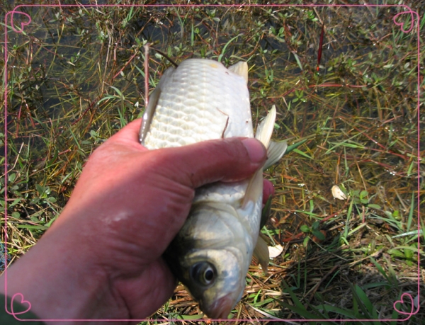 13.4.13鱼获 12.jpg