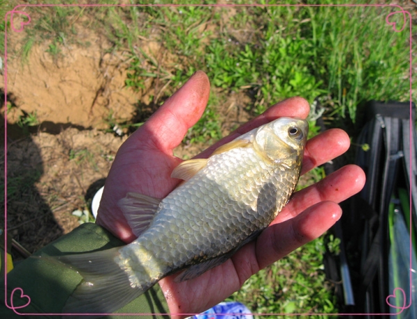 13.4.13鱼获 13.jpg