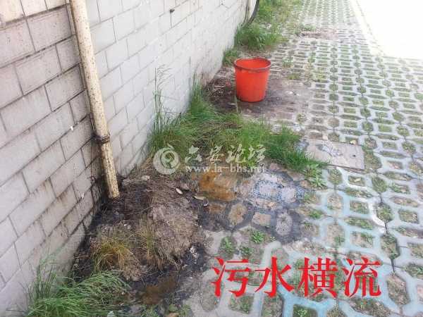 污水横流.jpg