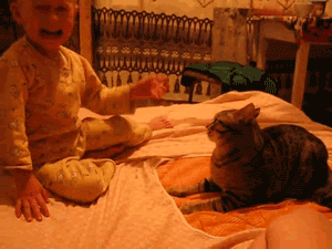 1_2e4c0caeeb84b0563234236a11721b76_0.gif