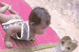 1_2e4c0caeeb84b0563234236a11721b76_0.gif