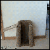 1_2e4c0caeeb84b0563234236a11721b76_0.gif