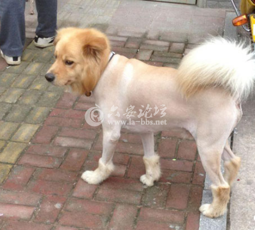 QQ截图20130601083708.png