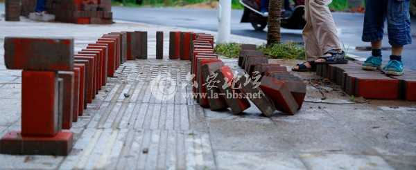 照片 010_副本_副本.jpg