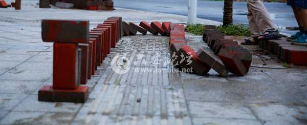 照片 013_副本_副本.jpg