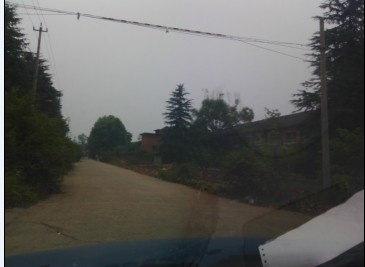 厂内大门一侧被挖去卖出树木的