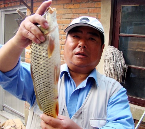 今天下午我在揚州保障湖釣到一條大龍魚