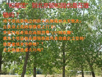 捕获 - 副本 (40).PNG