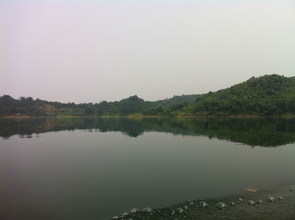 调整大小 IMG_9311.jpg