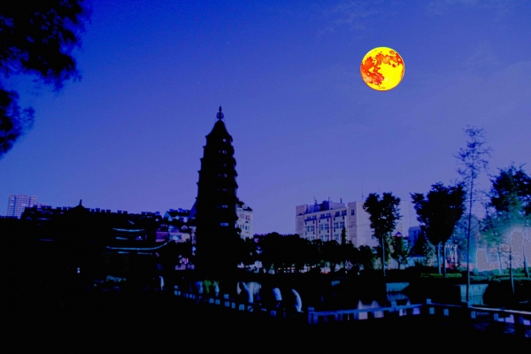 月下南塔.jpg