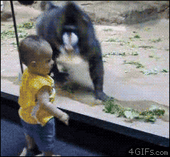 2000.gif
