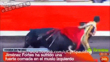 2000.gif