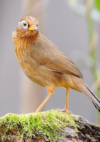 982683_huamei2.jpg