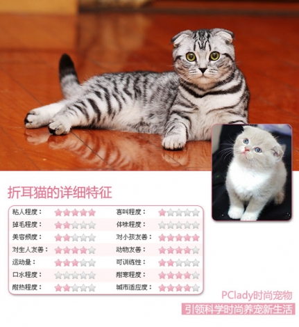 1001690_928815_sugelanzheermao.jpg 1001690_928815_sugelanzheermao.jpg