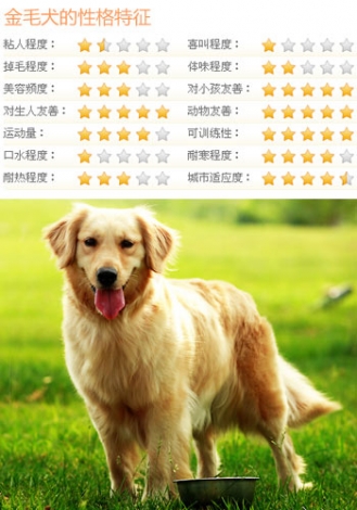 871140_jinmao.jpg