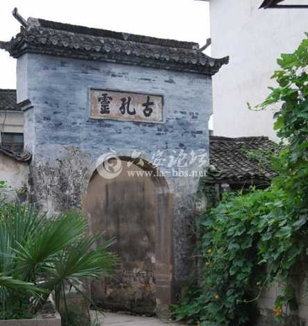 古孔灵.jpg 古孔灵.jpg