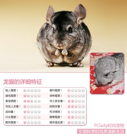 928815_longmao.jpg