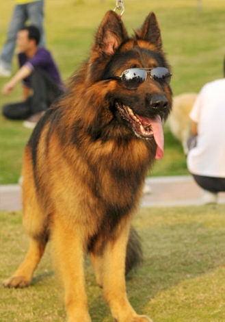 986835_2.jpg