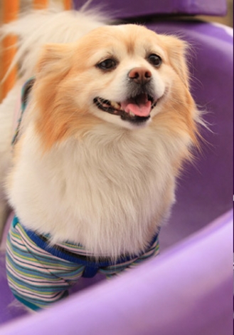 826866_7.jpg